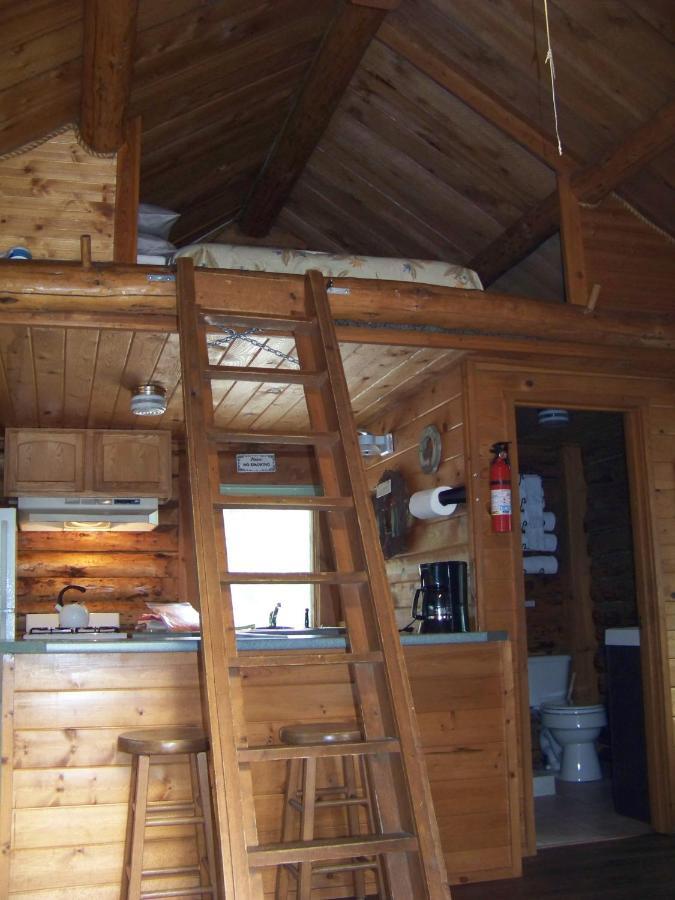 Box Canyon Cabins Seward Exteriér fotografie